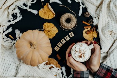 Sıcak Sonbahar kompozisyon. Sütlü balkabağı, Cinnamo kadın elle