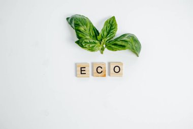 Eko kavramı. Yeşil eart beyaz arka plan üst VI tarihinde Filiz