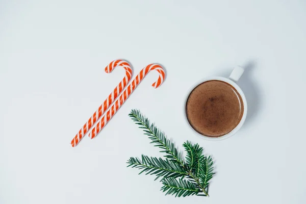 Cup of cacao, candy canes and fir tree on white background. Top
