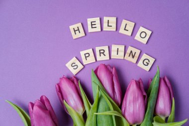 Mor laleler Menekşe arka plan ve ahşap harfler. Bahar kavramı. Üstten Görünüm, düz yatıyordu, kopya alanı