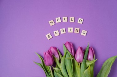 Mor laleler Menekşe arka plan ve ahşap harfler. Bahar kavramı. Üstten Görünüm, düz yatıyordu, kopya alanı