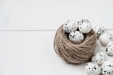  Bıldırcın yumurta yuvada kopya alanı ile beyaz tabloda. Sprin