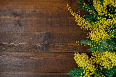 Buket Mimoza ahşap arka plan üzerinde. Uluslararası Wo