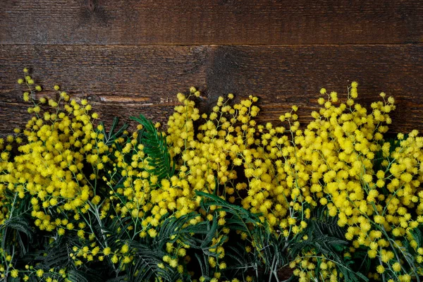 Kytice mimosa na dřevěné pozadí. Mezinárodní Wo — Stock fotografie