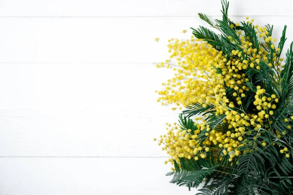 Bouquet of mimosa flowers on white background. International Wom — Stock Photo, Image