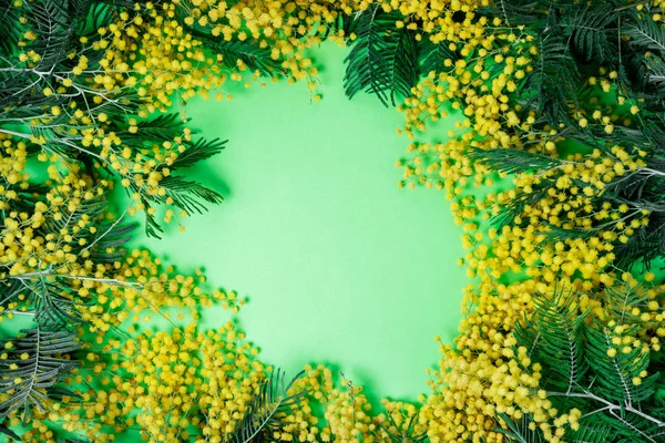 Bouquet di fiori di mimosa su sfondo verde. Wom internazionale — Foto Stock