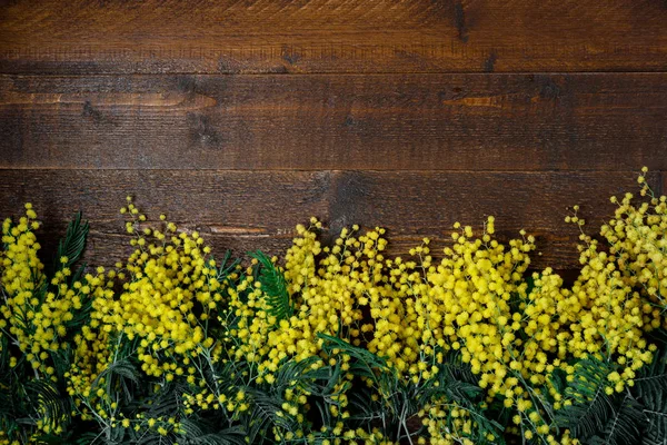 Bukiet kwiatów mimozy na podłoże drewniane. Wo międzynarodowe — Zdjęcie stockowe