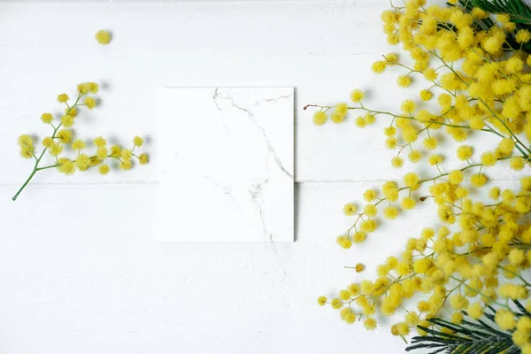 Leeg voor bericht en boeket van mimosa bloemen op witte backgro — Stockfoto