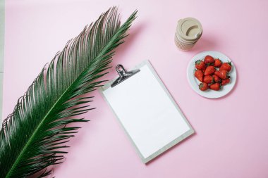 Boş metin için kahve ve palmiye yaprakları, pembe arka plan. En iyi v