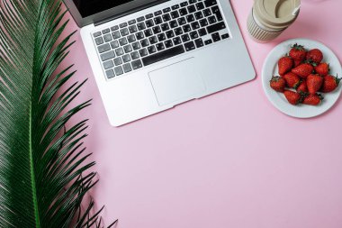 Çalışma alanı: Laptop, palmiye yaprağı, kahve ve bir iğne üzerinde çilek