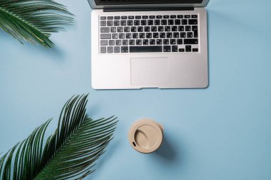 Çalışma alanı: Laptop, mavi bir arka plan üzerinde palmiye yaprağı. Üstten Görünüm,