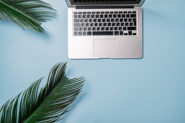 Çalışma alanı: Laptop, mavi bir arka plan üzerinde palmiye yaprağı. Üstten Görünüm,