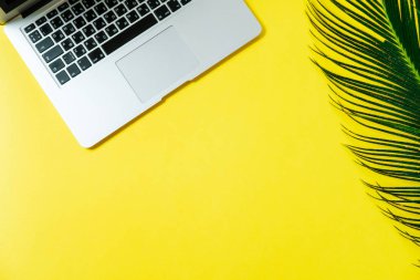 Çalışma alanı: Laptop, sarı bir arka plan üzerinde palmiye yaprağı. Top vie