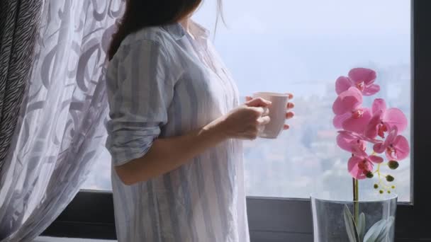 Millenial Brunetka Kobieta Trzyma Filiżankę Herbaty Lub Kawy Patrząc Okno — Wideo stockowe