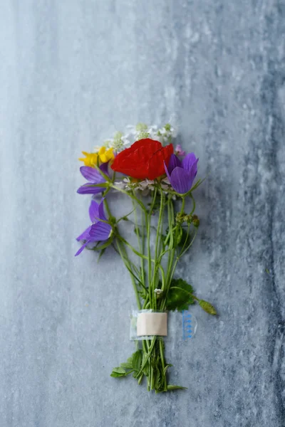 Polne Kwiaty Tynkiem Przylepnym Szarej Marmurowej Desce Koncepcja Medycyny Kreatywnej — Zdjęcie stockowe