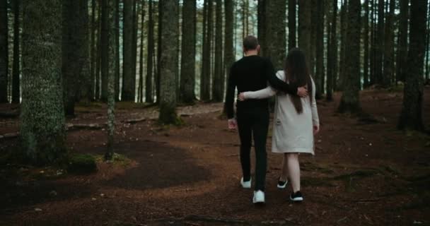 Sonbahar Ormanlarında Ele Tutuşan Dinlenen Doğada Dinlenen Romantik Çiftin Arka — Stok video