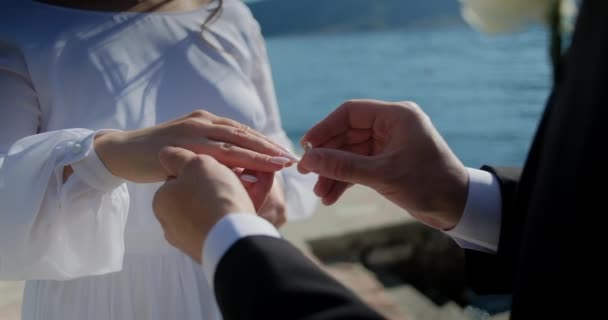 男男女女手牵手 交换结婚戒指 新郎和新娘站在户外举行结婚仪式 背景是大海 — 图库视频影像