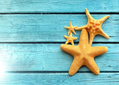 Mavi ahşap arka planda denizyıldızı. Üstte görüntü .