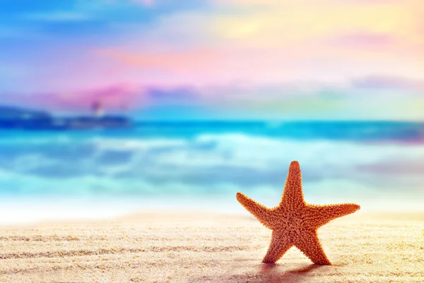 Starfish na praia ao nascer do sol — Fotografia de Stock