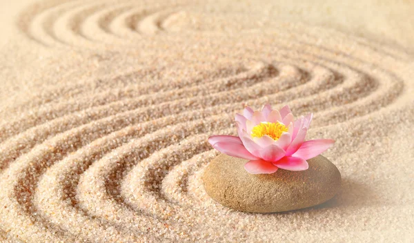 Sand, flower lily and spa stones in zen garden — Stock fotografie