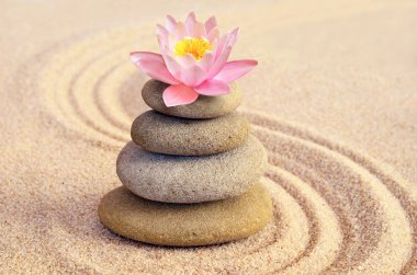 Zen Bahçesi kum, lily ve spa taşlar