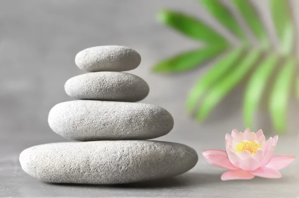 Spa stones with flower lily on light background — Stock Photo, Image