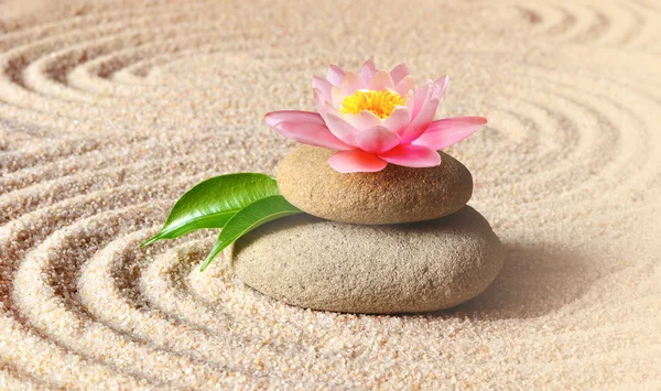 Sand, lily and spa stones in zen garden — Stock Photo, Image