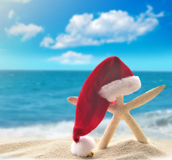 Starfish in santa hat at the seaside — Stock Photo, Image