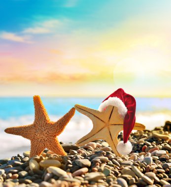 Deniz yıldızı deniz kenarında santa şapkalı