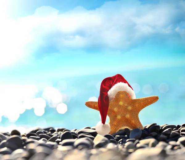 Stella marina in cappello di Babbo Natale al mare — Foto Stock