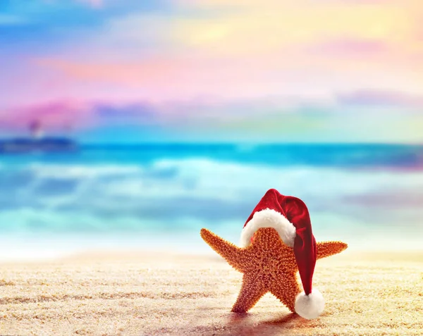 Deniz yıldızı deniz kenarında santa şapkalı — Stok fotoğraf