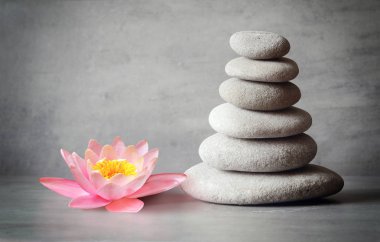 gri arka plan üzerinde çiçek lily ile taş denge