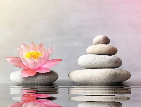 Piedras equilibrio con lirio de flores sobre fondo gris —  Fotos de Stock