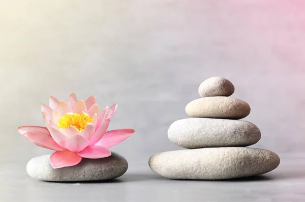 Stones balance with flower lily on grey background — Stock Photo, Image