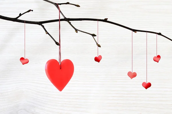 Cuore rosso appeso a un ramo d'albero — Foto Stock