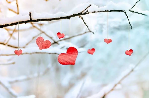 Kışın karlı ağaç dalı üzerinde ahşap kırmızı kalp.