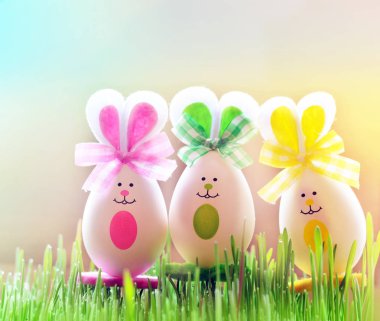 Renkli Paskalya yumurta bunny yeşil çimenlerin üzerinde