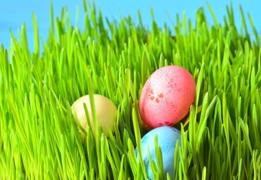 Yeşil çimlerde renkli Paskalya yumurtaları
