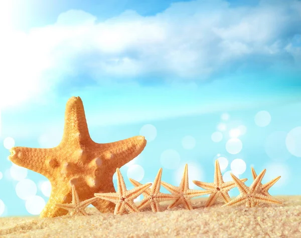 Starfish on sandy beach — Stock Photo, Image
