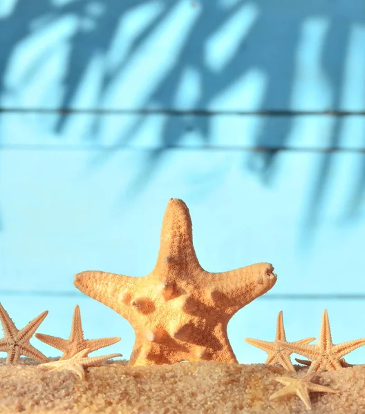 Arena marina con estrellas de mar sobre fondo de madera . —  Fotos de Stock