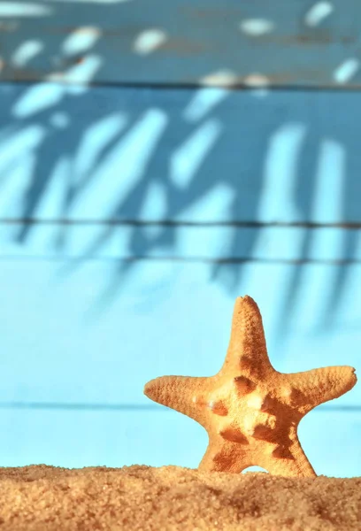 Sea sand med sjöstjärnor på trä bakgrund. — Stockfoto