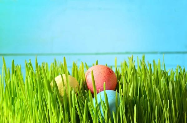 Oeufs de Pâques colorés sur herbe verte — Photo