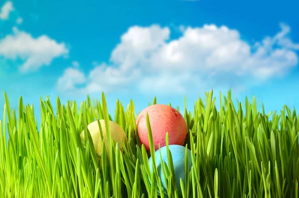 Huevos de Pascua de colores sobre hierba verde — Foto de Stock