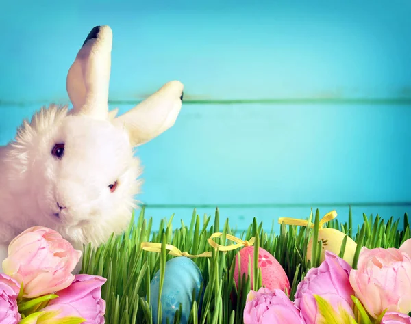 Mały króliczek wielkanocny na zielonej trawie i kwiaty — Zdjęcie stockowe