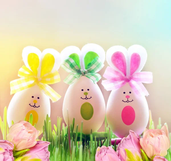 Huevos de Pascua coloreados conejito en hierba y flores —  Fotos de Stock