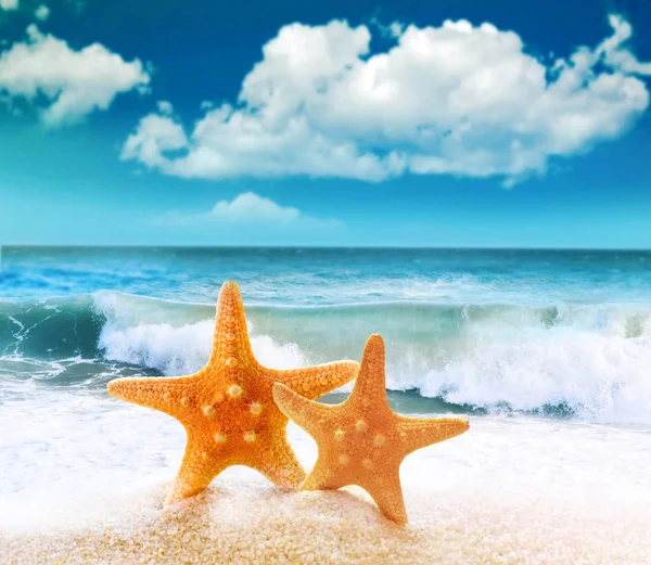 Estrella de mar en la playa de arena — Foto de Stock