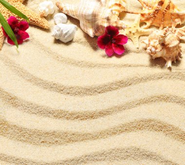 Deniz kabuğu kum, yaz kavramı