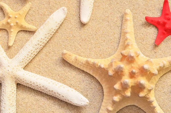 Arena de playa con estrellas de mar —  Fotos de Stock