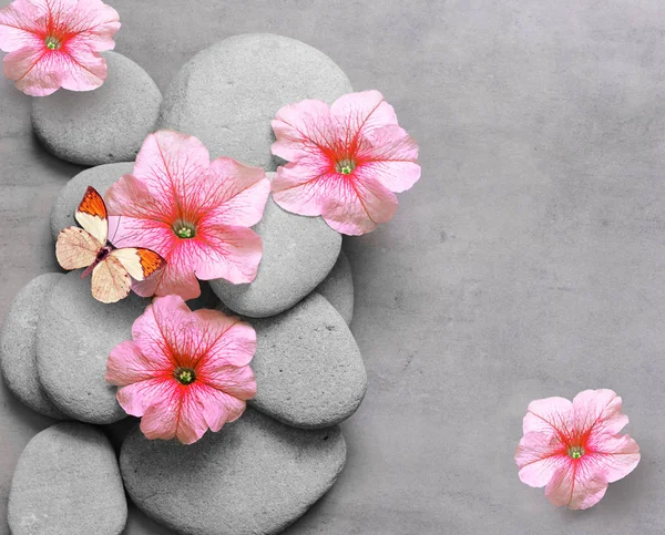 水疗概念与花朵、 蝴蝶、 禅宗的石头 — 图库照片