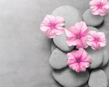 Çiçek ve zen taşlar Spa konseptiyle